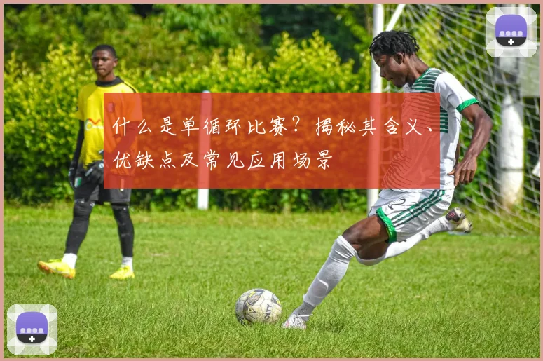 什么是单循环比赛?揭秘其含义、优缺点及常见应用场景