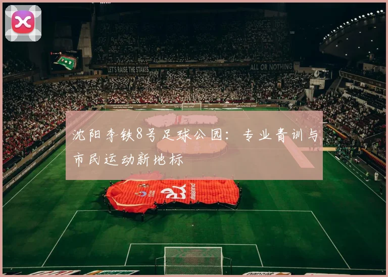 沈阳李铁8号足球公园：专业青训与市民运动新地标