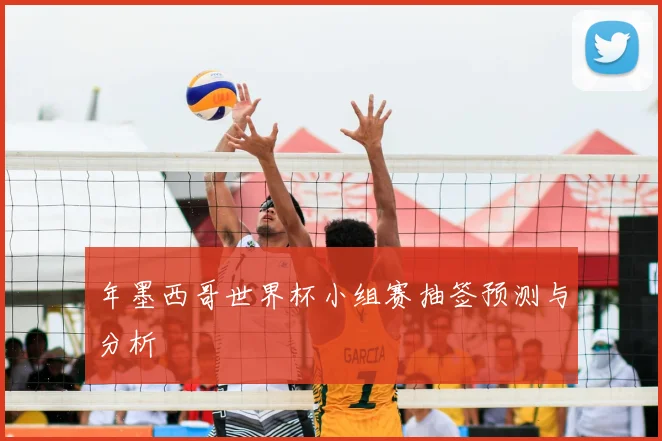 年墨西哥世界杯小组赛抽签预测与分析